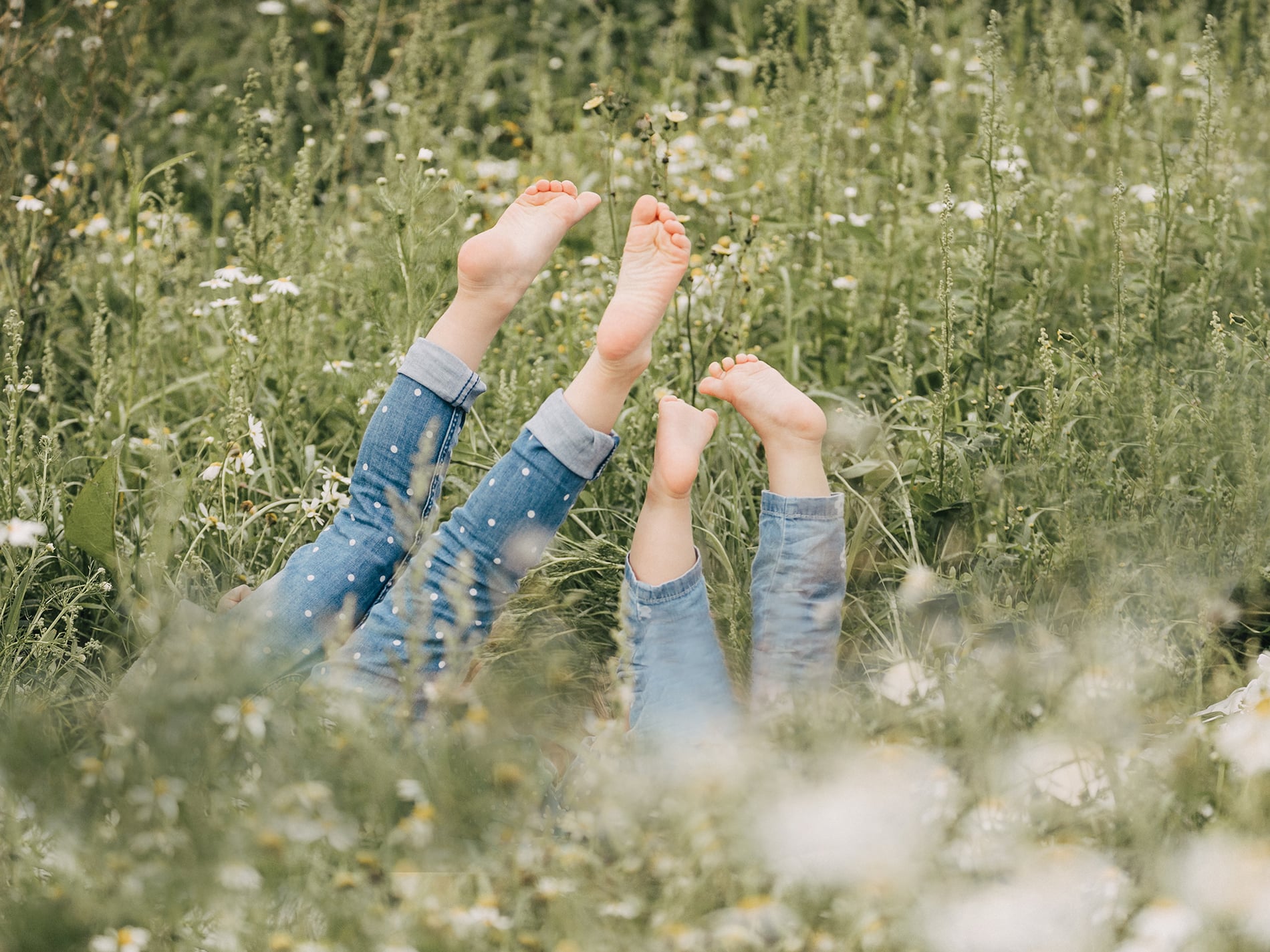 Dein Fotograf in Ansbach & Umgebung